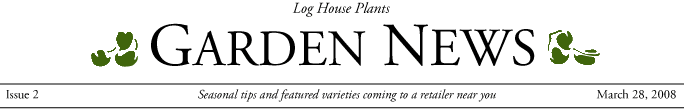 masthead